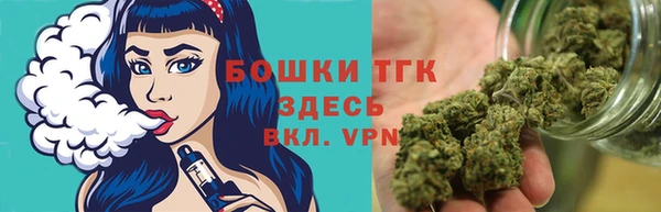 ешки Иннополис