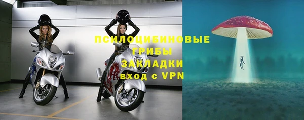 a pvp Инта