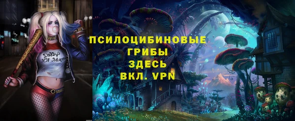 a pvp Инта