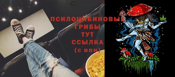 марки nbome Инсар
