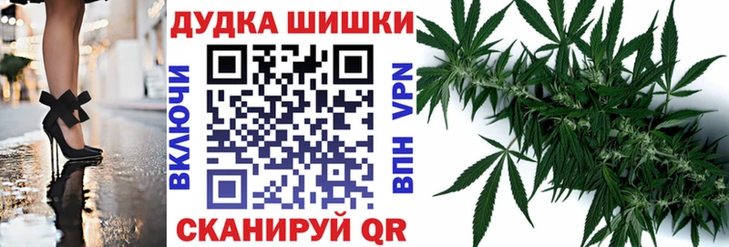 Конопля сатива  Сенгилей 